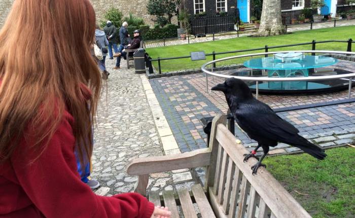 OUR LONDON, ENGLAND TRIP!! (January&nbsp;2015)