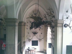 August 5, 2014 pictures 253