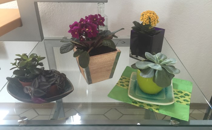 Home Decor: Create a space for Your&nbsp;plants!!!