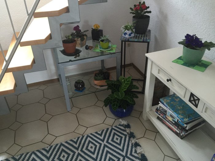 Thrift store in Germany 043