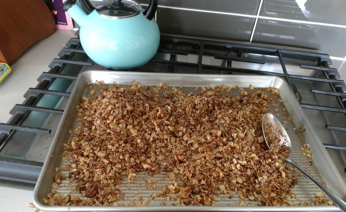 No Cereal in Cupboard? Granola from Scratch.. Plus- Our Tomato seeds have finally&nbsp;sprouted!