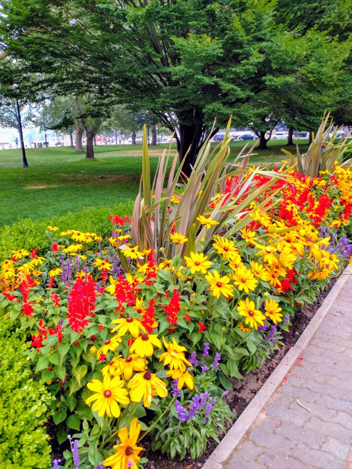 img_20180814_173716464_hdr-effects