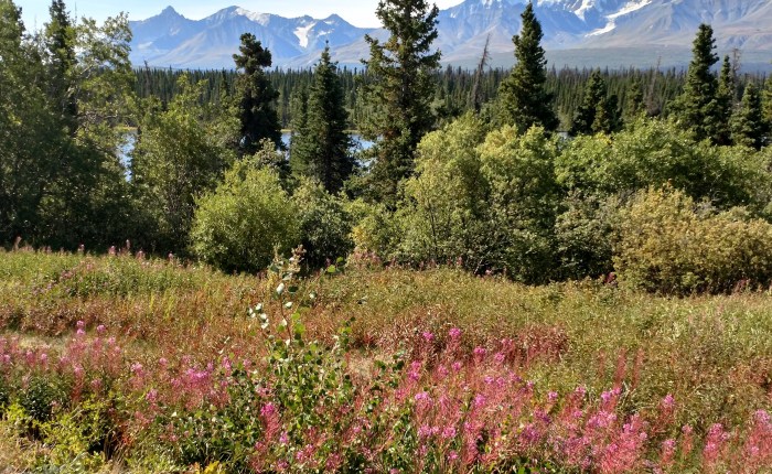 British Columbia, The Yukon and Alaska Trip (Recap of our BIG&nbsp;MOVE).