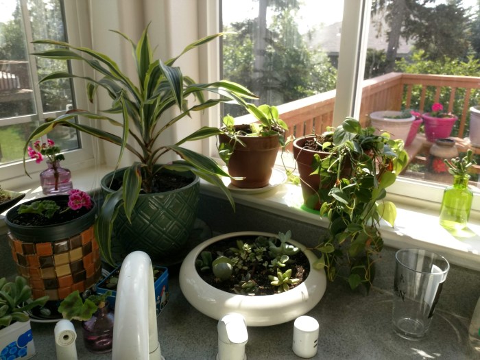 img_20190623_154952132_hdr