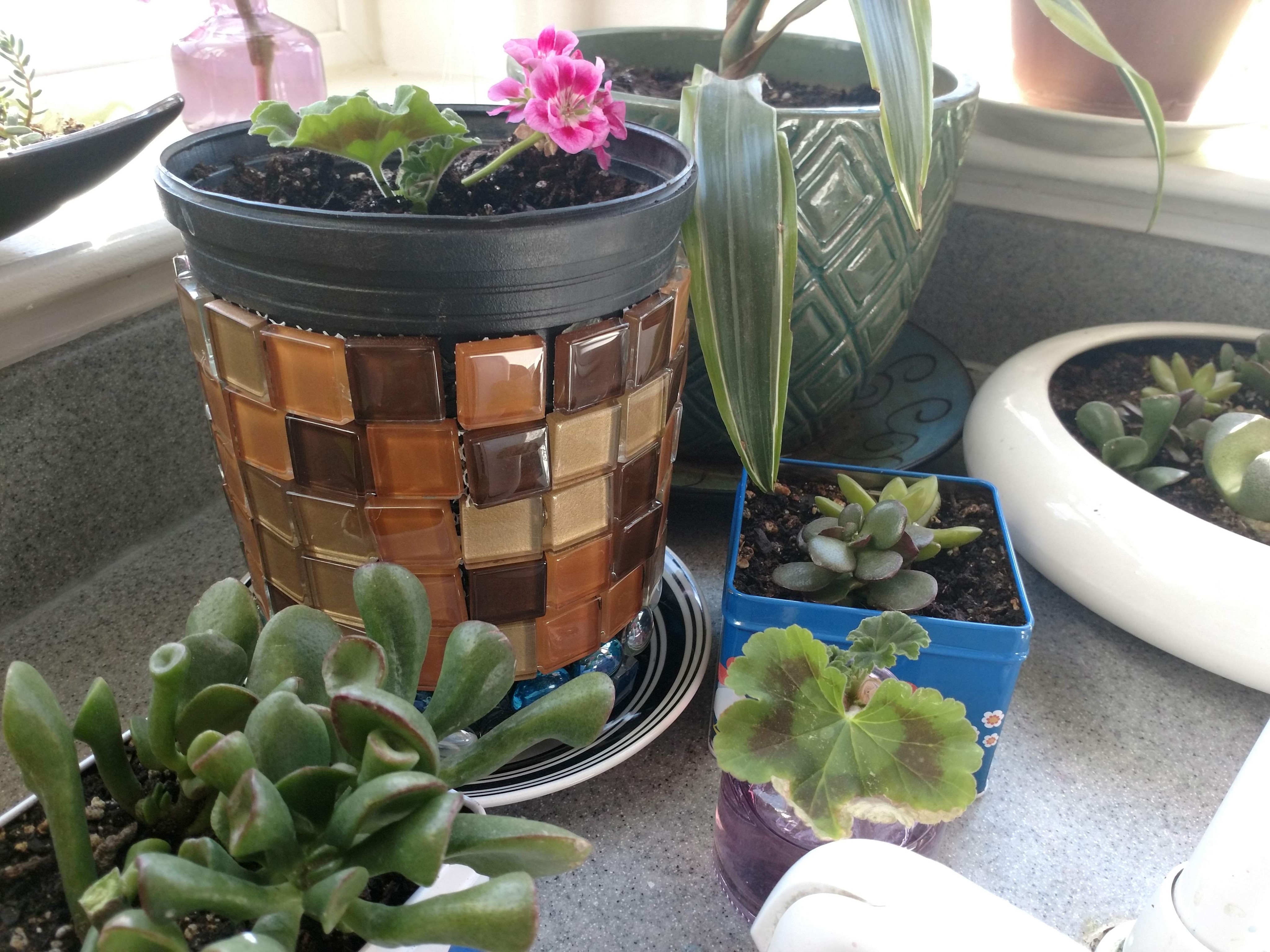 img_20190623_155010474