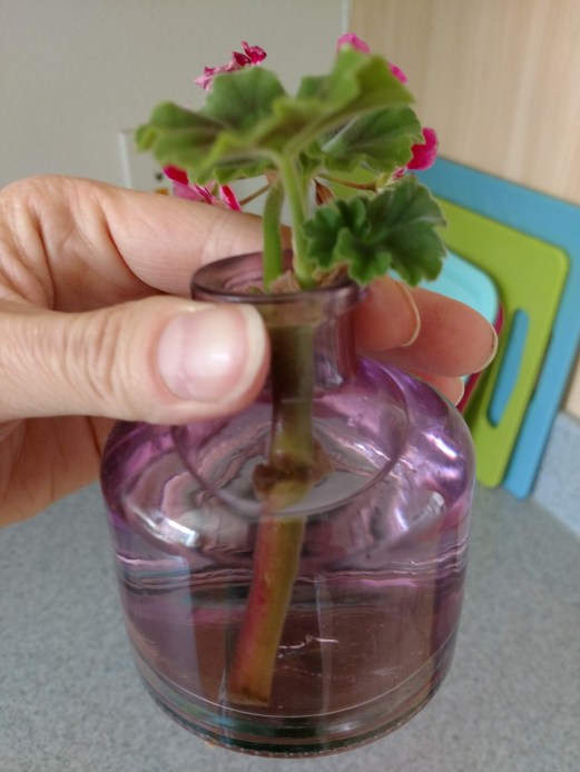 img_20190623_155045605